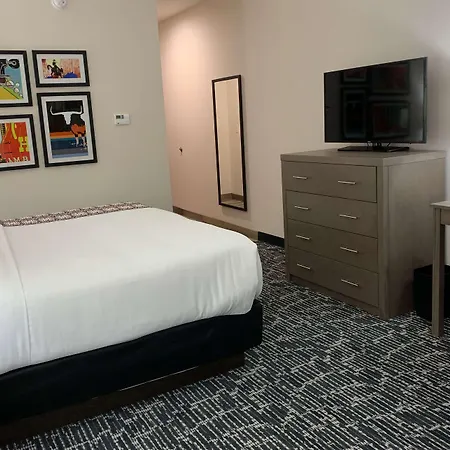 La Quinta Inn & Suites By Wyndham - Red Oak Tx Ih-35E Extérieur photo